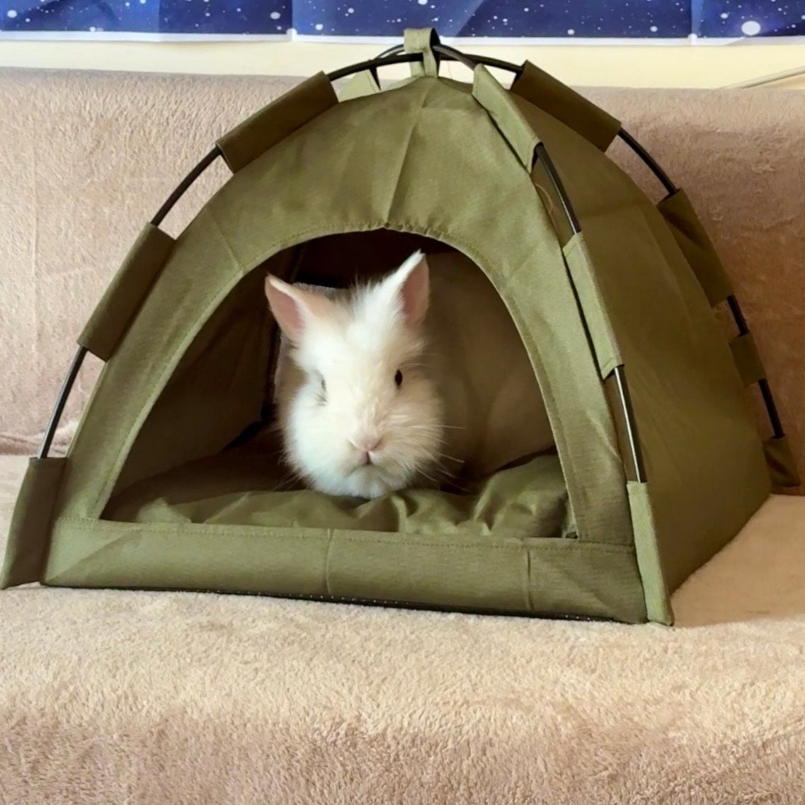 Meli's Tent